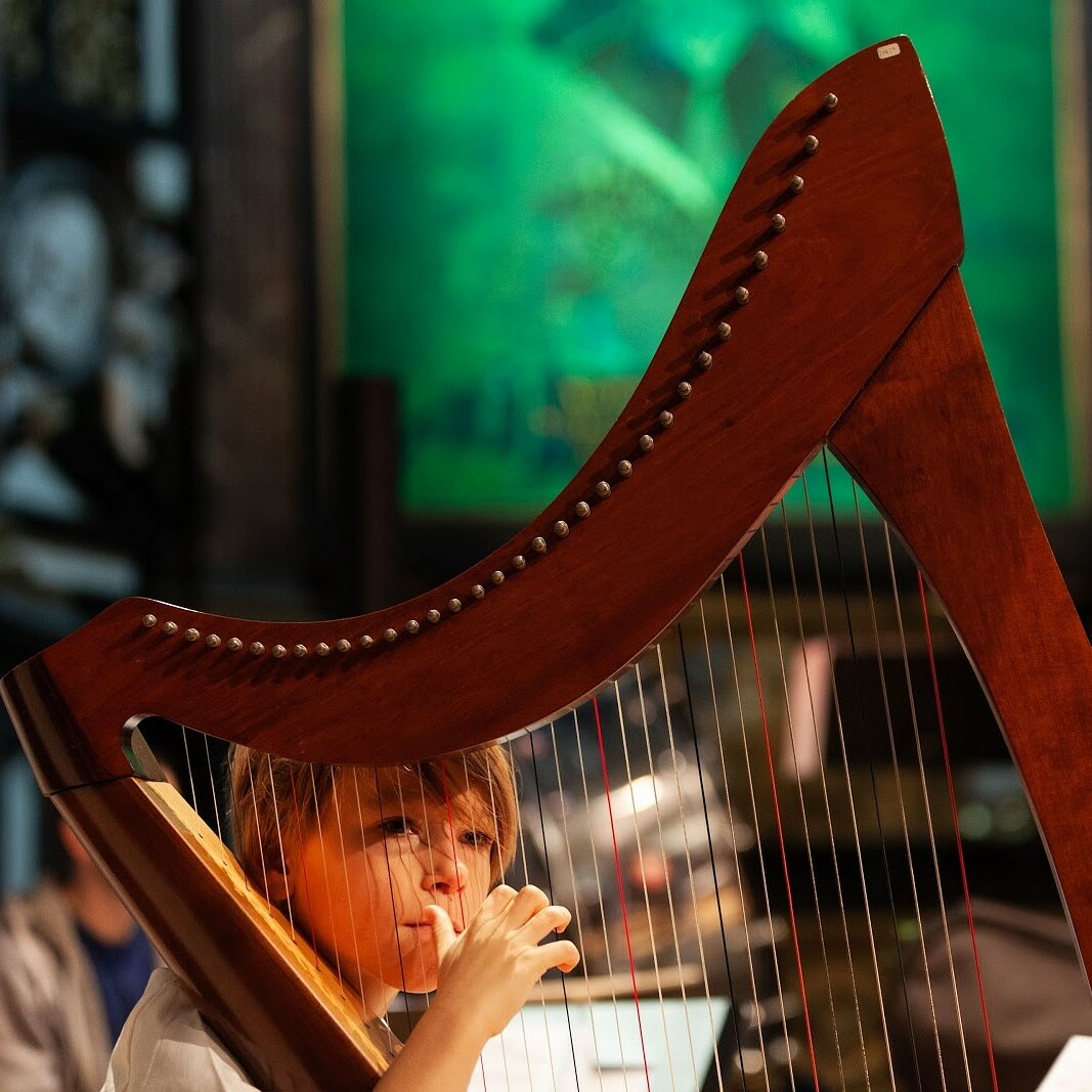 Momentopname Harp