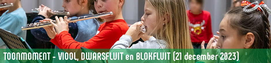 Banner Viool, Dwarsfluit en Blokfluit